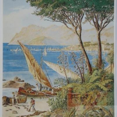 Plm cannes 1