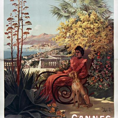 Plm cannes 2