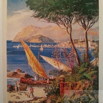 Plm cannes 4