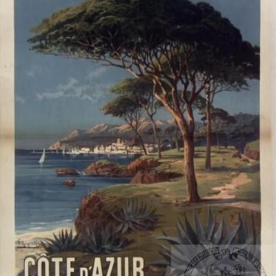 Plm cote azur pins