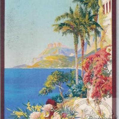Plm cote d azur capmartin