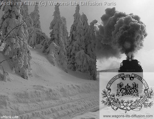 Wl train dans la neige